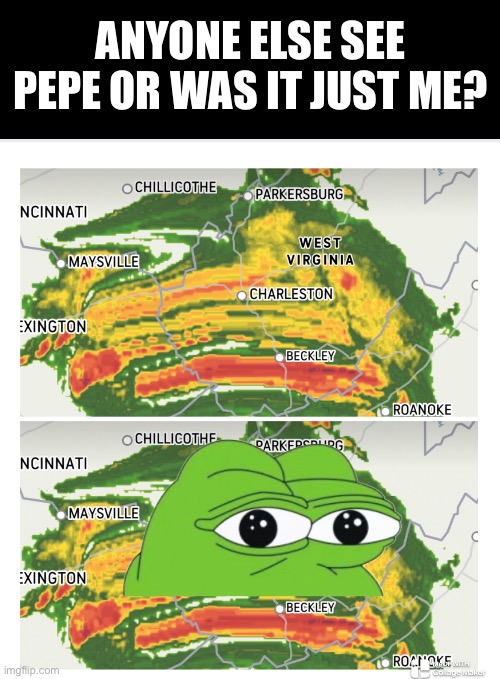 Pepe | ANYONE ELSE SEE PEPE OR WAS IT JUST ME? | image tagged in memes | made w/ Imgflip meme maker