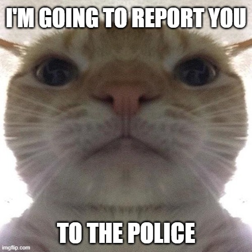 Staring Cat/Gusic | I'M GOING TO REPORT YOU; TO THE POLICE | image tagged in staring cat/gusic | made w/ Imgflip meme maker