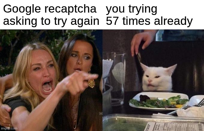 Woman Yelling At Cat | Google recaptcha asking to try again; you trying 57 times already | image tagged in memes,woman yelling at cat | made w/ Imgflip meme maker