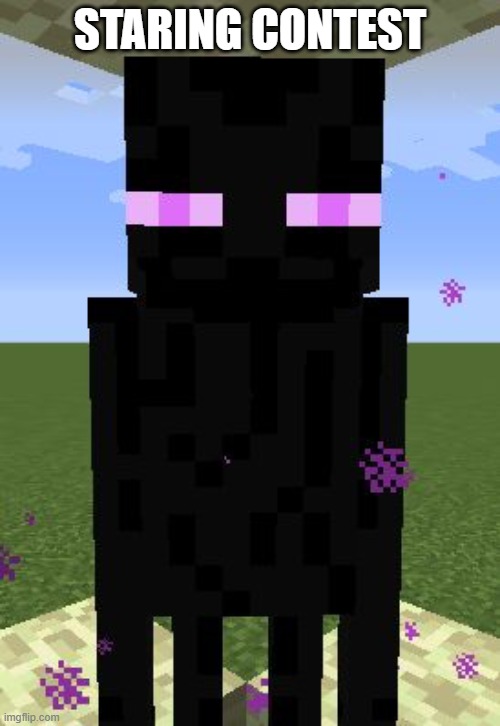Enderman | STARING CONTEST | image tagged in enderman | made w/ Imgflip meme maker