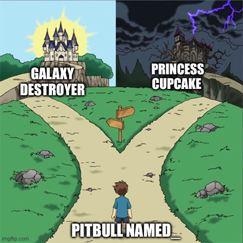 Two Paths | PRINCESS CUPCAKE; GALAXY DESTROYER; PITBULL NAMED_ | image tagged in two paths,memes,pitbull,dogs,shitpost,lol | made w/ Imgflip meme maker