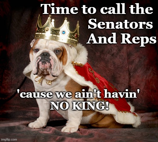 Bulldog No King | Time to call the 
Senators 
And Reps; 'cause we ain't havin' 
NO KING! | image tagged in bulldog no king,time to call | made w/ Imgflip meme maker