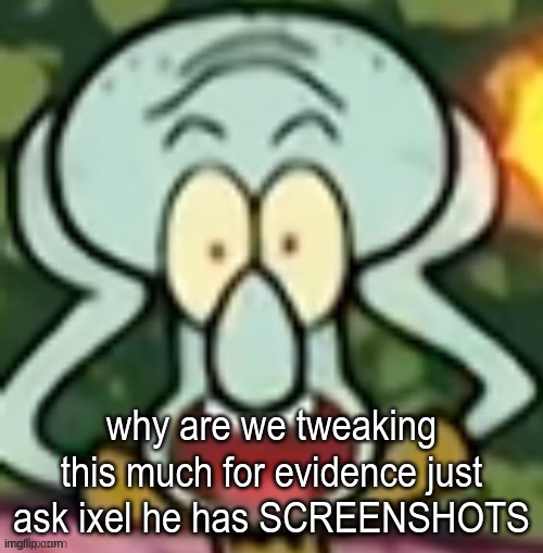 Flabbergasted Squidward | why are we tweaking this much for evidence just ask ixel he has SCREENSHOTS | image tagged in flabbergasted squidward | made w/ Imgflip meme maker