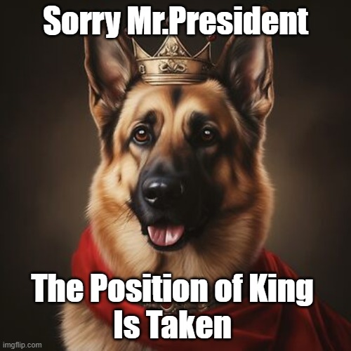 GSD King | Sorry Mr.President; The Position of King 
Is Taken | image tagged in gsd king,position taken | made w/ Imgflip meme maker