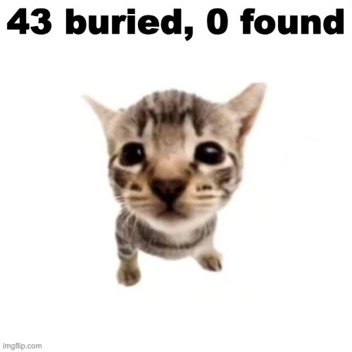 image tagged in dark humor,cat,murder,cat kills children,shitpost,msmg | made w/ Imgflip meme maker
