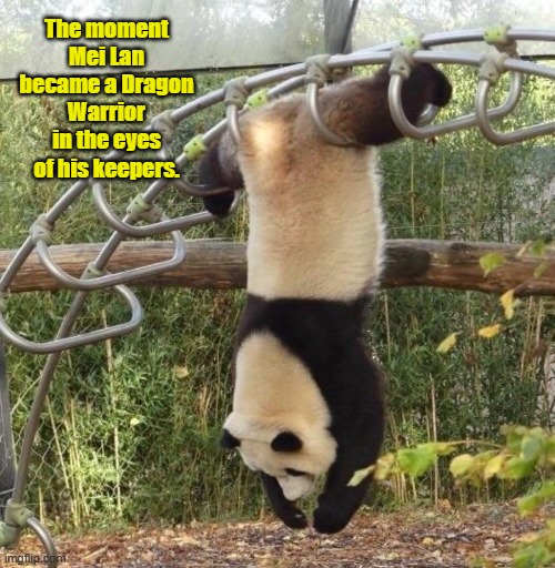 Kung Fu Panda | The moment Mei Lan became a Dragon Warrior in the eyes of his keepers. | image tagged in animals | made w/ Imgflip meme maker