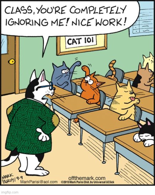 image tagged in cats,comics,cat school,ignoring | made w/ Imgflip meme maker