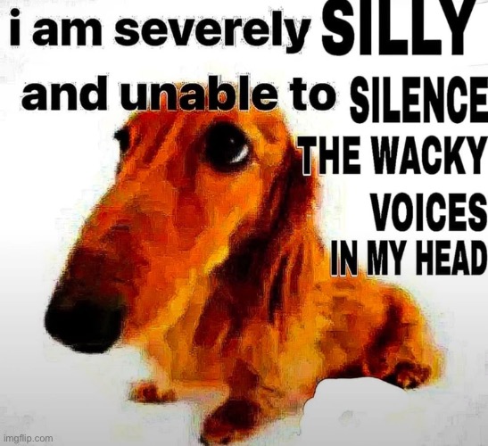 image tagged in dog,insanity | made w/ Imgflip meme maker
