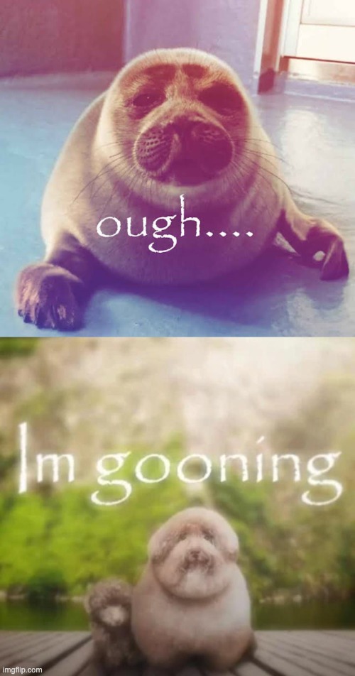 image tagged in ough,im gooning | made w/ Imgflip meme maker