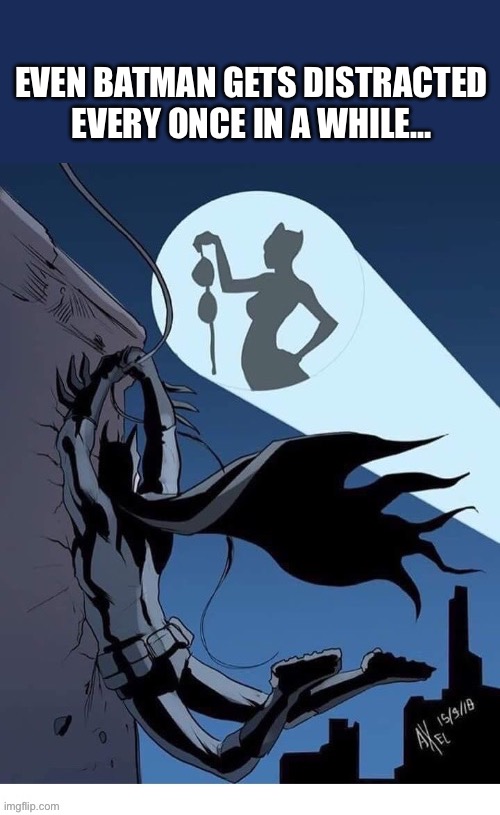 EVEN BATMAN GETS DISTRACTED EVERY ONCE IN A WHILE… | image tagged in batman,signal,catwoman,distracted | made w/ Imgflip meme maker