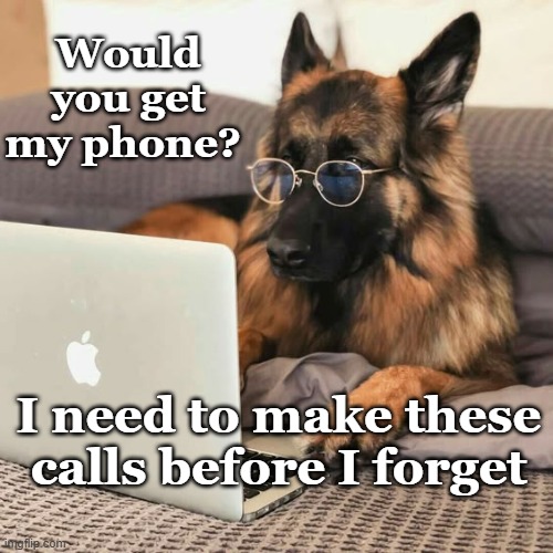 Get My Phone GSD | Would you get my phone? I need to make these calls before I forget | image tagged in make calls before forget,i need to make calls gsd | made w/ Imgflip meme maker
