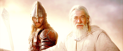 theoden king stands alone Blank Meme Template