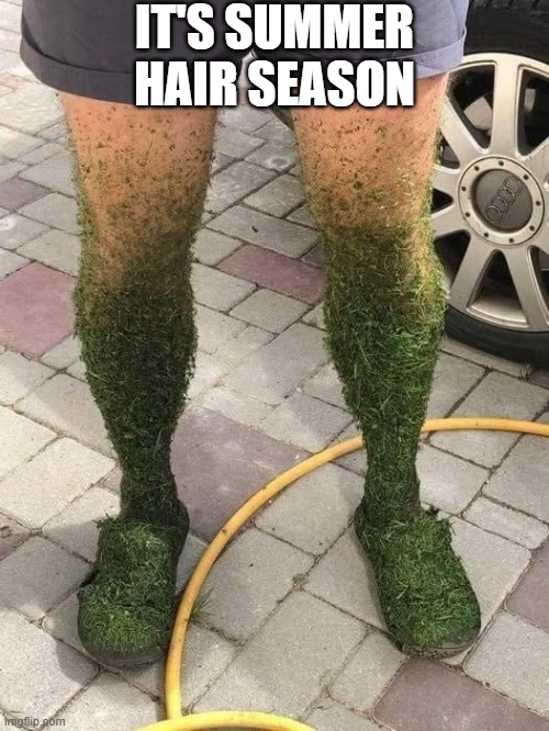 Summer Hair | IT'S SUMMER HAIR SEASON | image tagged in funny,memes | made w/ Imgflip meme maker