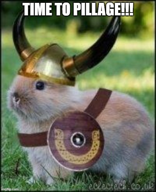 Viking Bunny | TIME TO PILLAGE!!! | image tagged in bunnies | made w/ Imgflip meme maker
