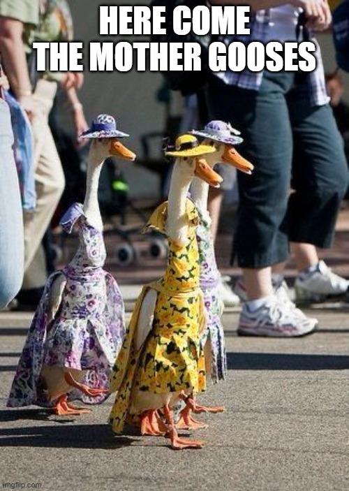 Mother Geese | HERE COME THE MOTHER GOOSES | image tagged in ducks | made w/ Imgflip meme maker