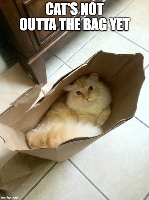 Cat Bag | CAT'S NOT OUTTA THE BAG YET | image tagged in cats | made w/ Imgflip meme maker