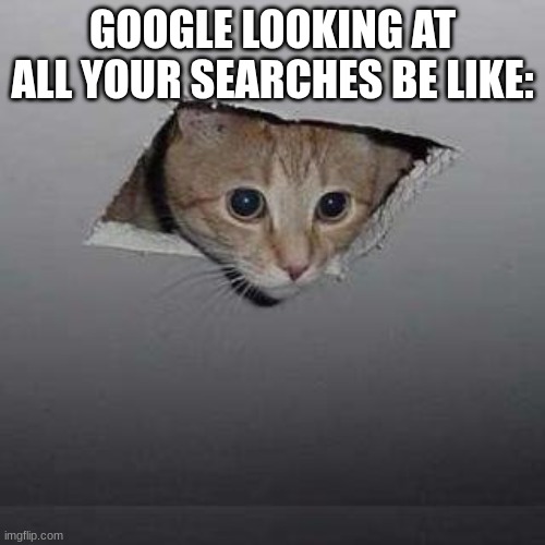 beware of google | GOOGLE LOOKING AT ALL YOUR SEARCHES BE LIKE: | image tagged in memes,ceiling cat | made w/ Imgflip meme maker