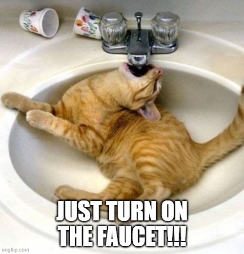 Cat Drink | JUST TURN ON THE FAUCET!!! | image tagged in cats | made w/ Imgflip meme maker
