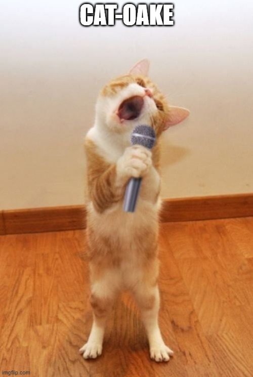 What's He Singing? | CAT-OAKE | image tagged in cats | made w/ Imgflip meme maker