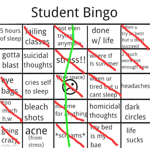 student bingo | image tagged in student bingo | made w/ Imgflip meme maker