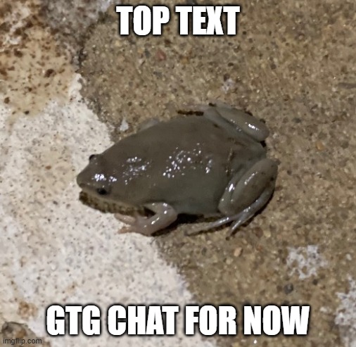 fog | TOP TEXT; GTG CHAT FOR NOW | image tagged in fog | made w/ Imgflip meme maker