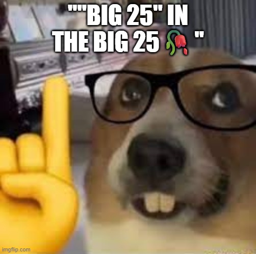 ""BIG 25" IN THE BIG 25?" | image tagged in nerd dog | made w/ Imgflip meme maker