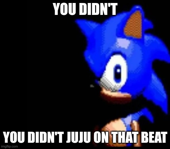Sonic stares | YOU DIDN'T YOU DIDN'T JUJU ON THAT BEAT | image tagged in sonic stares | made w/ Imgflip meme maker