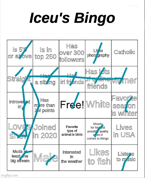 Iceu's Bingo | image tagged in iceu's bingo | made w/ Imgflip meme maker