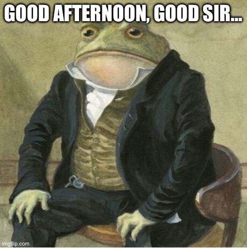 Formal frog | GOOD AFTERNOON, GOOD SIR… | image tagged in formal frog | made w/ Imgflip meme maker