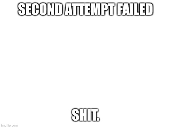 I got past parallel parking this time. | SECOND ATTEMPT FAILED; SHIT. | made w/ Imgflip meme maker