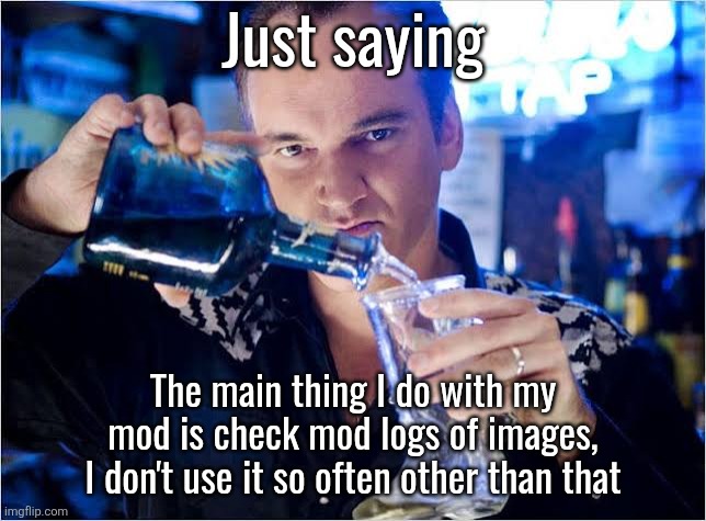 I haven't even banned anyone for a while, except troll alts ofc | Just saying; The main thing I do with my mod is check mod logs of images, I don't use it so often other than that | image tagged in quentin tarantino pouring drink | made w/ Imgflip meme maker