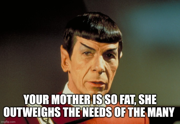 23rd century burn | YOUR MOTHER IS SO FAT, SHE OUTWEIGHS THE NEEDS OF THE MANY | image tagged in memes,star trek,your mom | made w/ Imgflip meme maker
