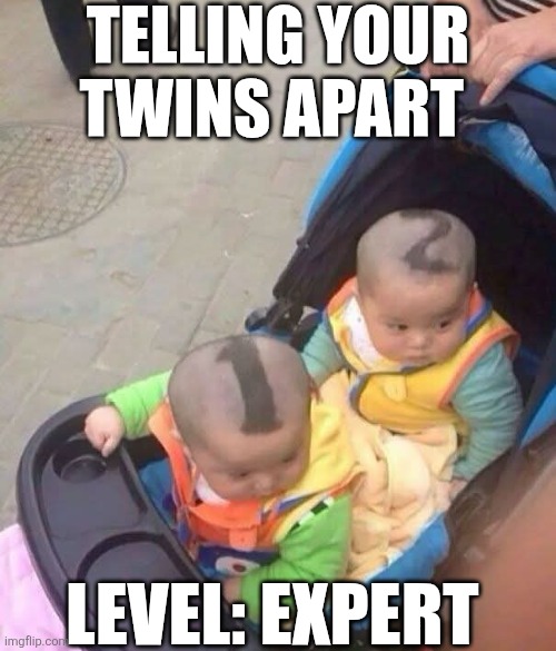 Telling Your Twins Apart Level Expert | TELLING YOUR TWINS APART; LEVEL: EXPERT | image tagged in chrisjoines1 | made w/ Imgflip meme maker