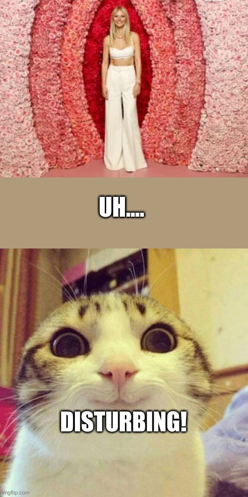dont just sit there like a... | UH.... DISTURBING! | image tagged in memes,smiling cat | made w/ Imgflip meme maker