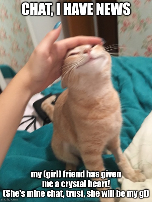 I'M SO HAPPYYYYY | CHAT, I HAVE NEWS; my (girl) friend has given me a crystal heart!
(She's mine chat, trust, she will be my gf) | image tagged in cat pat | made w/ Imgflip meme maker
