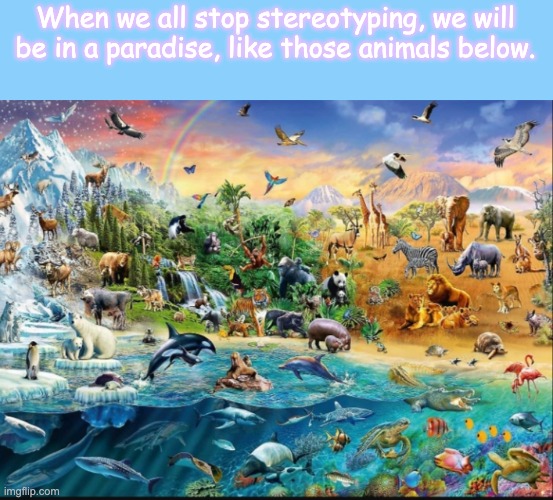 Remember that now. | When we all stop stereotyping, we will be in a paradise, like those animals below. | image tagged in do anything else | made w/ Imgflip meme maker