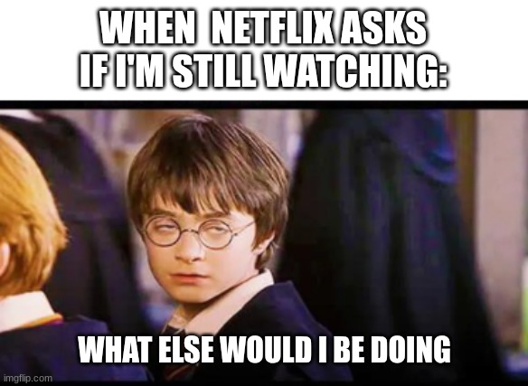 good title | WHEN  NETFLIX ASKS IF I'M STILL WATCHING:; WHAT ELSE WOULD I BE DOING | image tagged in oh wow are you actually reading these tags | made w/ Imgflip meme maker