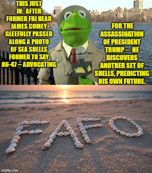 Erie how that happened by accident, isn't it? | THIS JUST IN:  AFTER FORMER FBI HEAD JAMES COMEY GLEEFULLY PASSED ALONG A PHOTO OF SEA SHELLS FORMED TO SAY 86-47 -- ADVOCATING; FOR THE ASSASSINATION OF PRESIDENT TRUMP --  HE DISCOVERS ANOTHER SET OF SHELLS, PREDICTING HIS OWN FUTURE. | image tagged in kermit news report | made w/ Imgflip meme maker