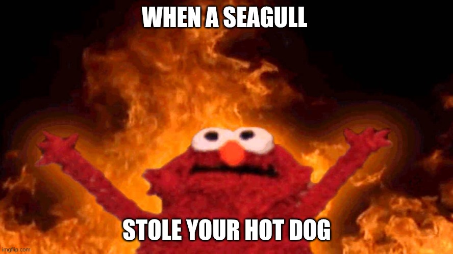 elmo fire | WHEN A SEAGULL; STOLE YOUR HOT DOG | image tagged in elmo fire | made w/ Imgflip meme maker
