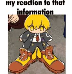 my reaction to that information Blank Meme Template