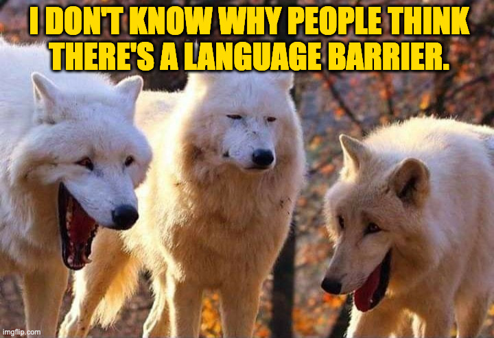Laughing wolf | I DON'T KNOW WHY PEOPLE THINK
THERE'S A LANGUAGE BARRIER. | image tagged in laughing wolf | made w/ Imgflip meme maker