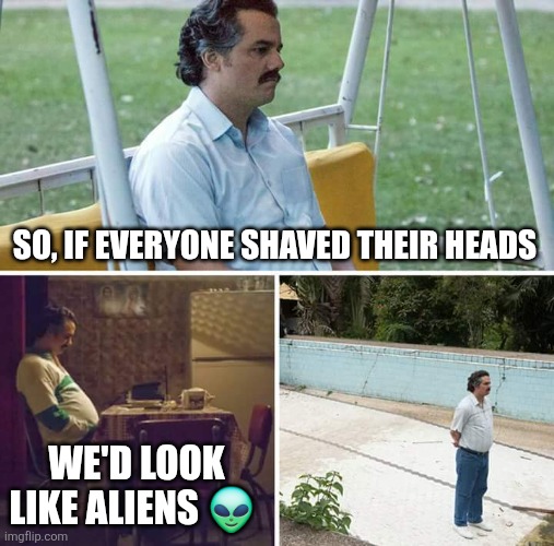 Stoned moment | SO, IF EVERYONE SHAVED THEIR HEADS; WE'D LOOK LIKE ALIENS 👽 | image tagged in memes,sad pablo escobar | made w/ Imgflip meme maker