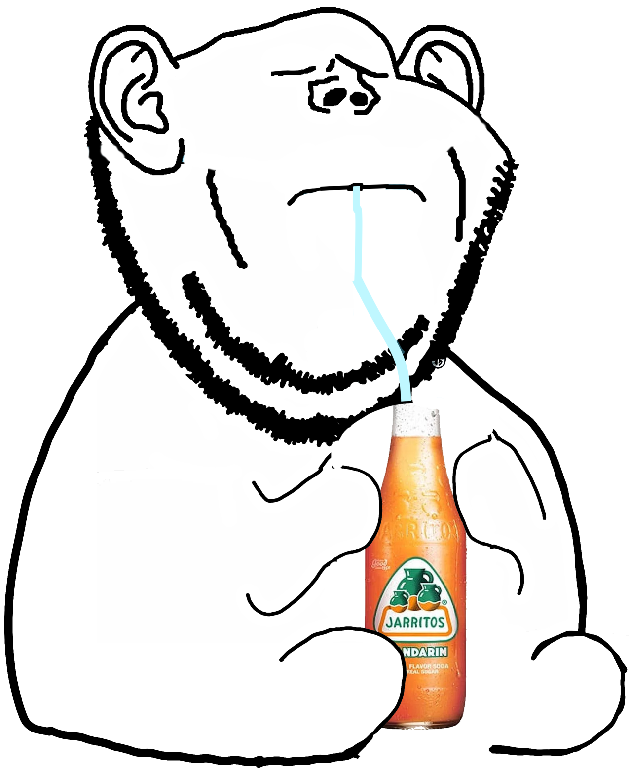 High Quality Jarritos Blank Meme Template