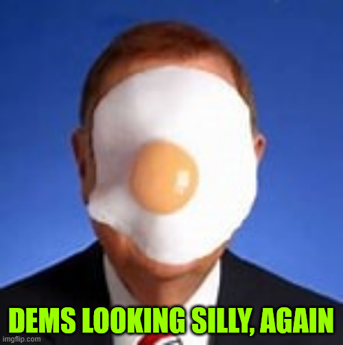 egg on face | DEMS LOOKING SILLY, AGAIN | image tagged in egg on face | made w/ Imgflip meme maker