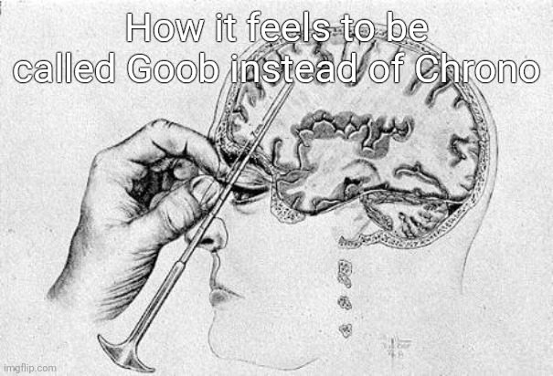 Lobotomy  | How it feels to be called Goob instead of Chrono | image tagged in lobotomy | made w/ Imgflip meme maker