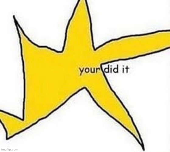 Your did it (worst quality) | image tagged in your did it worst quality | made w/ Imgflip meme maker