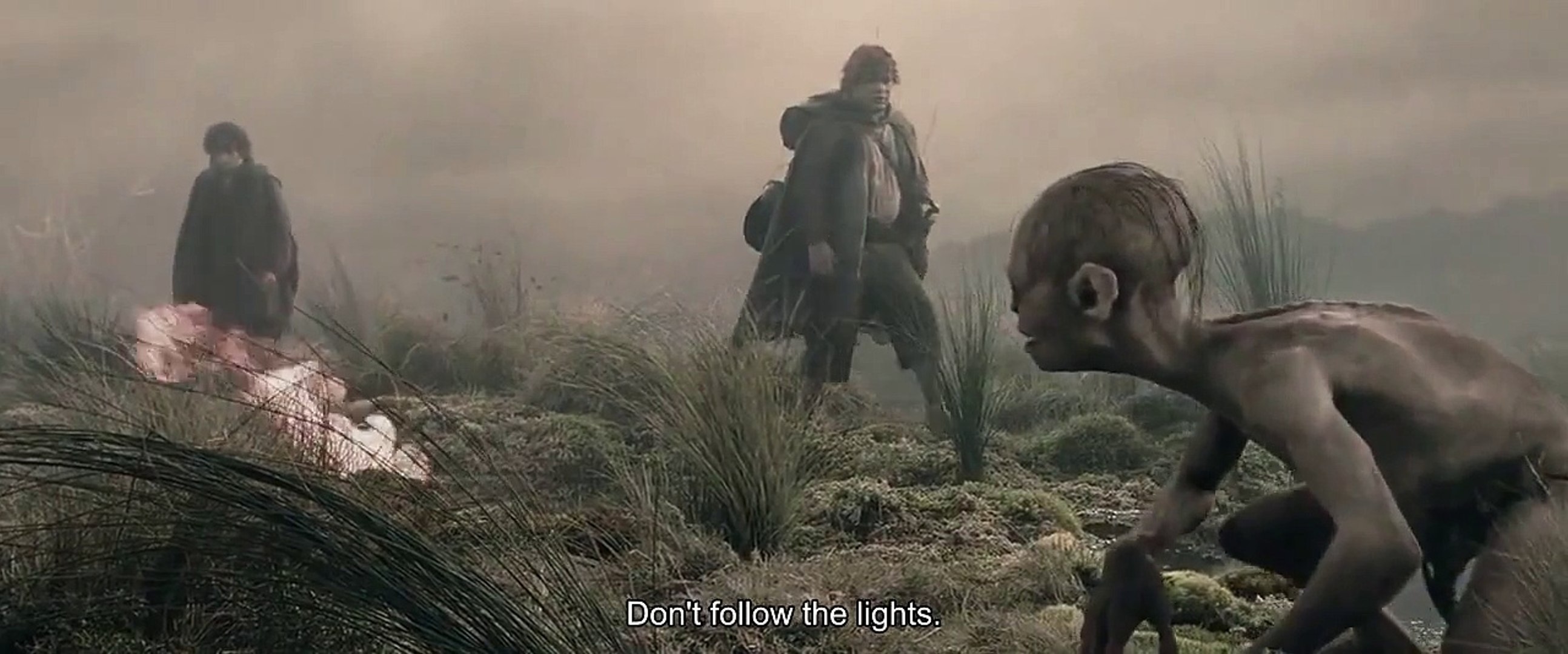 Gollum Don't Follow the lights Blank Meme Template
