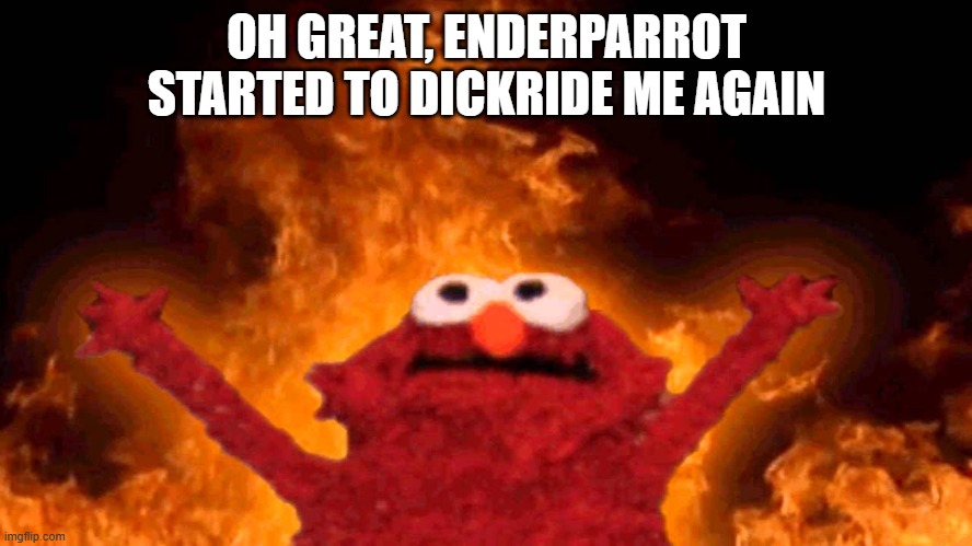 elmo fire | OH GREAT, ENDERPARROT STARTED TO DICKRIDE ME AGAIN | image tagged in elmo fire | made w/ Imgflip meme maker