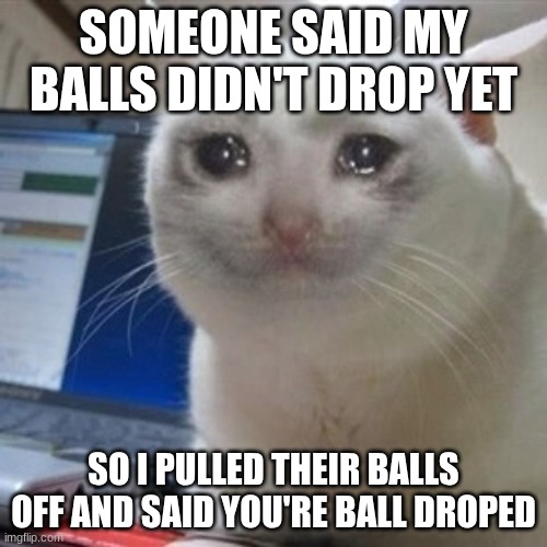 meme | SOMEONE SAID MY BALLS DIDN'T DROP YET; SO I PULLED THEIR BALLS OFF AND SAID YOU'RE BALL DROPED | image tagged in crying cat | made w/ Imgflip meme maker