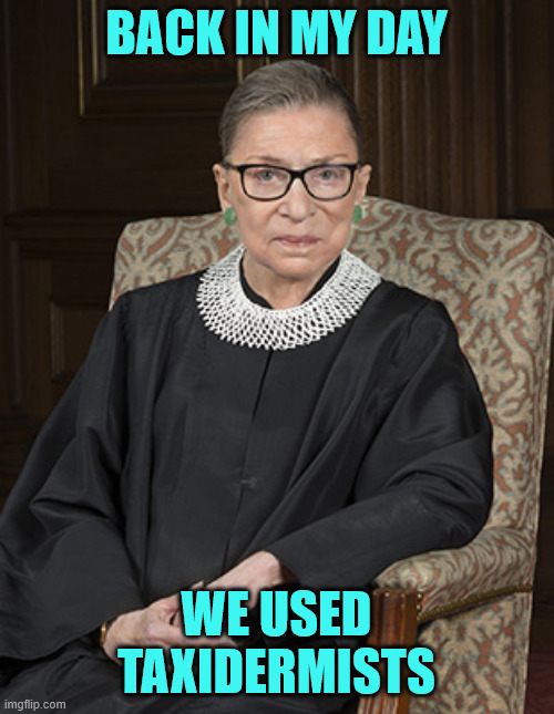 Ruth Bader Ginsberg | BACK IN MY DAY WE USED TAXIDERMISTS | image tagged in ruth bader ginsberg | made w/ Imgflip meme maker